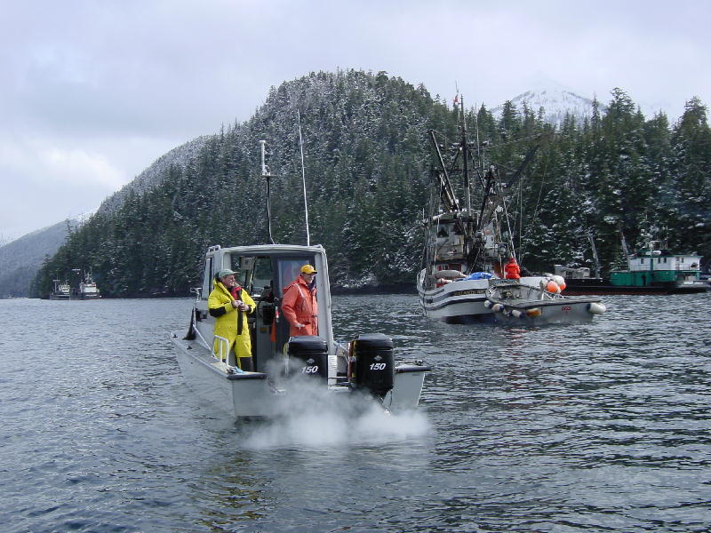 Bill and Jerry Check the Herring Catch.